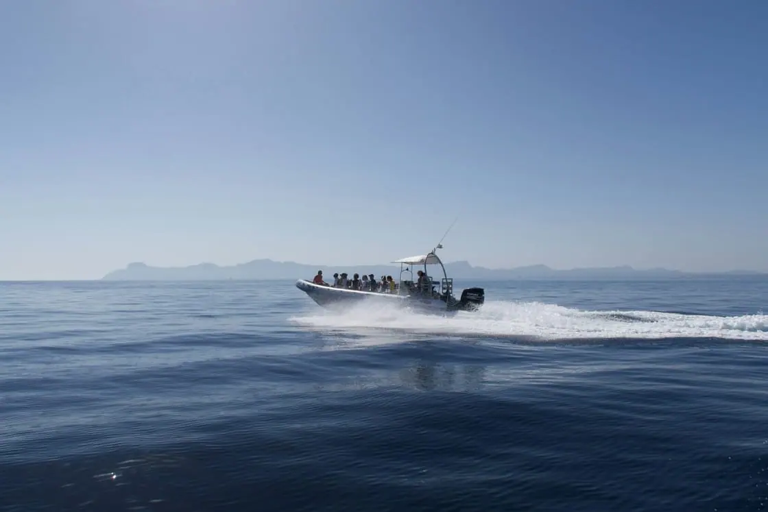 Una lancha neumática navega a toda velocidad por el mar, con la costa al fondo.