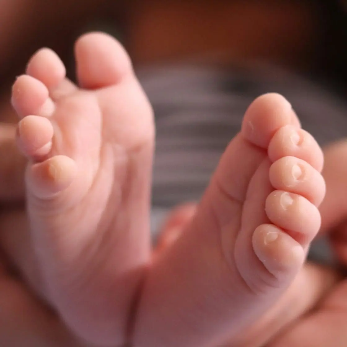 Primer plano de los pies de un bebé recién nacido sostenidos por las manos de un adulto.