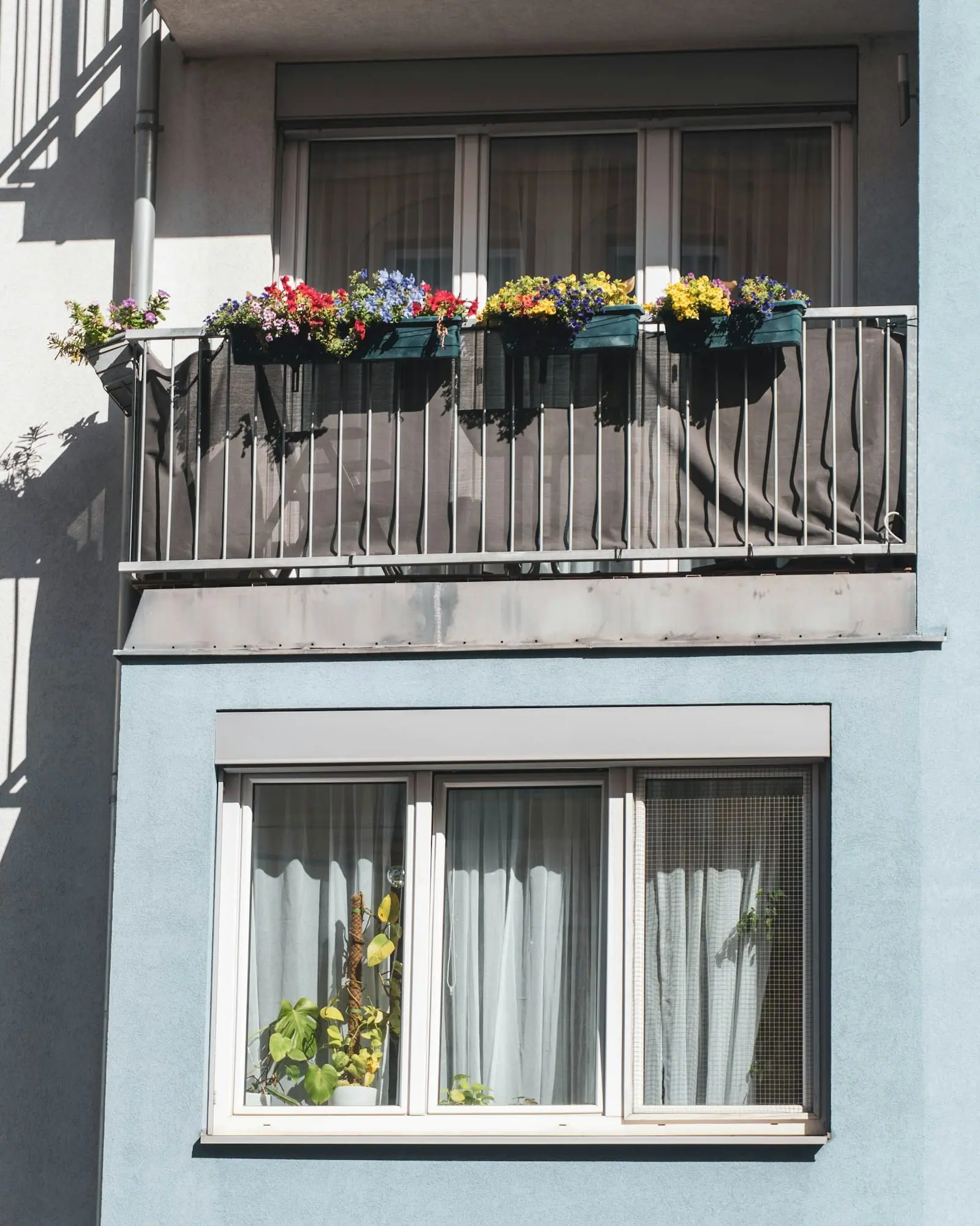 Fachada azul claro de un bloque de pisos con un balcón lleno de macetas con flores y una ventana con cortinas.